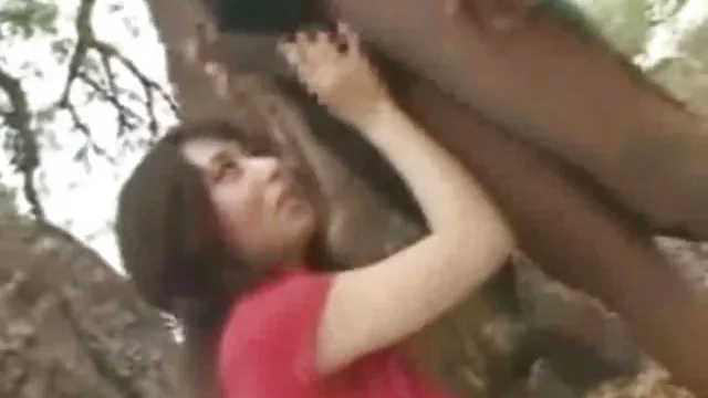 XXX بدون ثبت نام برنده جایزه موسیقی میکس دانلودفیلم سوپرباحال جدید,بازی های ویدئویی, کمیک
