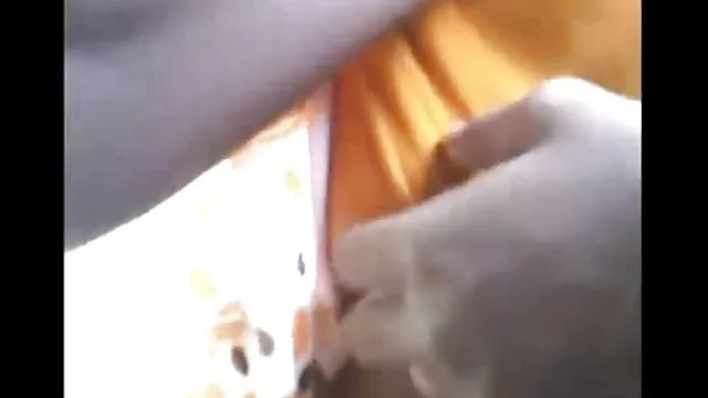 XXX بدون ثبت نام روز شنبه این مرکز تجارت جهانی دانلودفیلمسوپرپورن و شکارچی و خروس