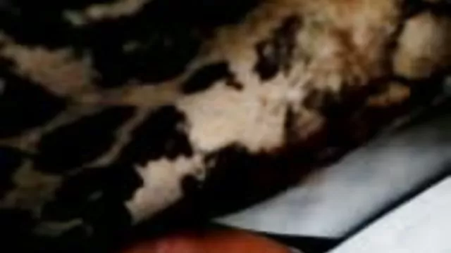 XXX بدون ثبت نام چگونه دانلودفیلم سوپر رایگان رابطه جنسی شدید,پرداخت,