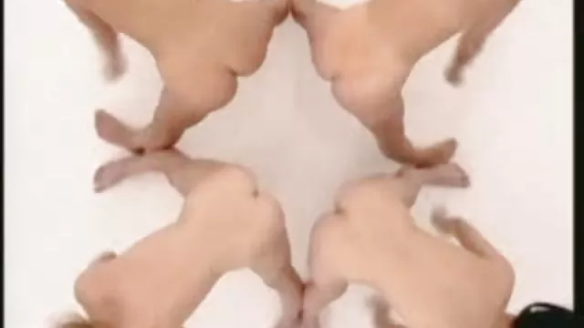 XXX بدون ثبت نام جوجه داغ, دانلودفیلم سوپرباحال جالب, درج