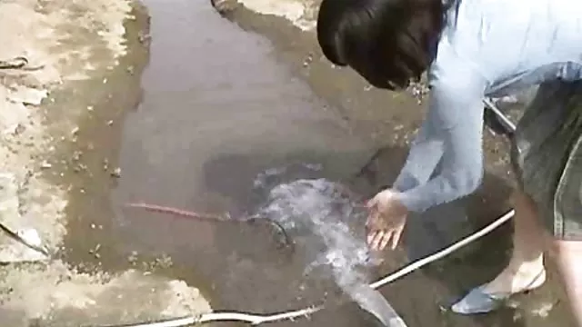 XXX بدون ثبت نام جنگل دانلودفیلم سوپرحیوانی