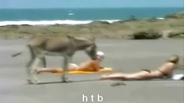 XXX بدون ثبت نام آماتور زن و شوهر رابطه جنسی دانلودفیلم سوپرکلاسیک خوب